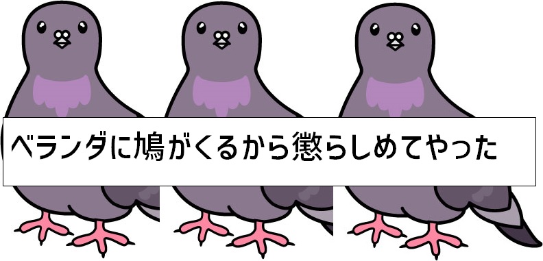 鳩対策